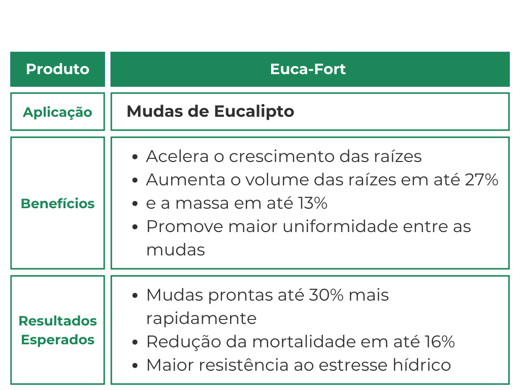 O Euca-Fort é um produto inovador desenvolvido para produtores florestais que buscam melhor desempenho no cultivo com responsabilidade ambiental. Sua aplicação direta nas mudas acelera o crescimento das raízes, aumentando seu volume em 27% e a massa em 13%, garantindo maior uniformidade e vigor. Como resultado, as mudas ficam prontas até 30% mais rapidamente, há uma redução da mortalidade em até 16%, e as plantas se tornam mais resistentes ao estresse hídrico, contribuindo para um desenvolvimento mais sustentável e eficiente das florestas.