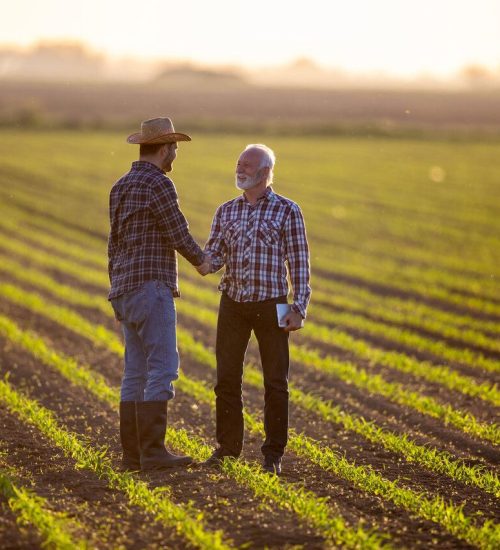 Blog-AgriQ_Pequenos-negocios-agro-covid_Creditos-Shutterstock